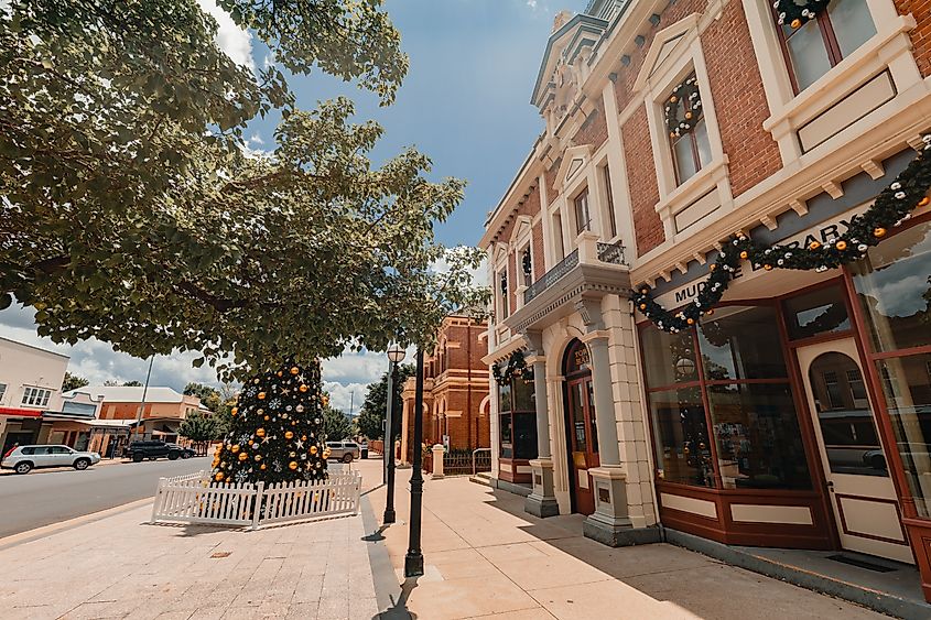 Large Christmas tree on display in the town centre of Mudgee, NSW.