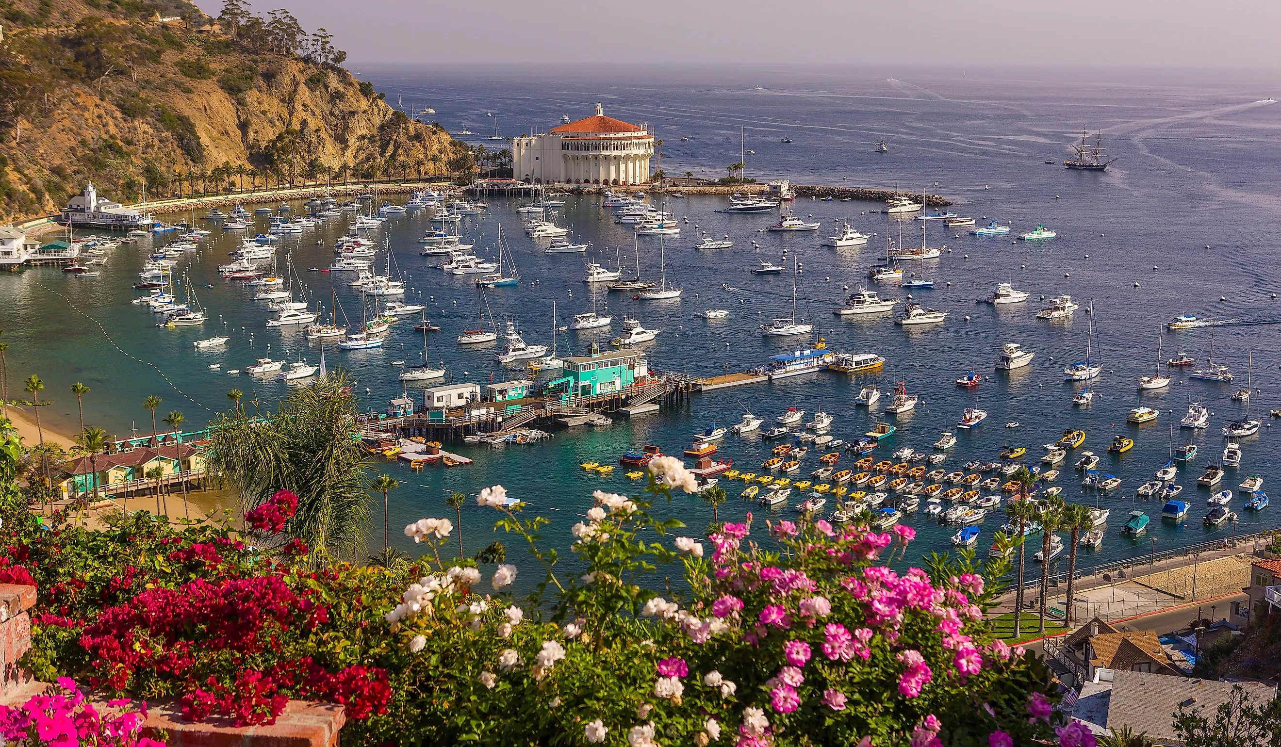 Aerial view of Avalon, California.