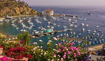 Aerial view of Avalon, California.