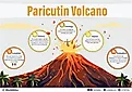 Paricutin Volcano infographic