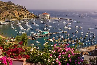 Aerial view of Avalon, California.
