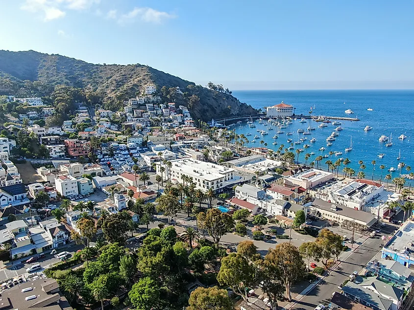Aerial view of Avalon downtown and bay with boats in Santa Catalina Island, famous tourist attraction in Southern California.